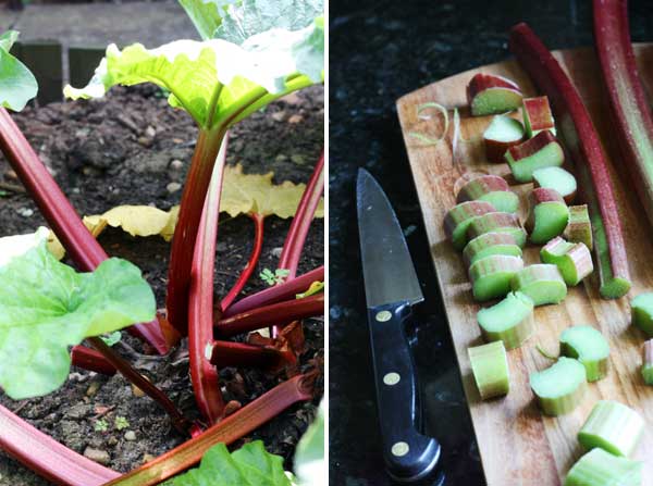 collage of 2 images with rhubarb growing in the garden on the left and cut rhubarb on a wooden board on the right