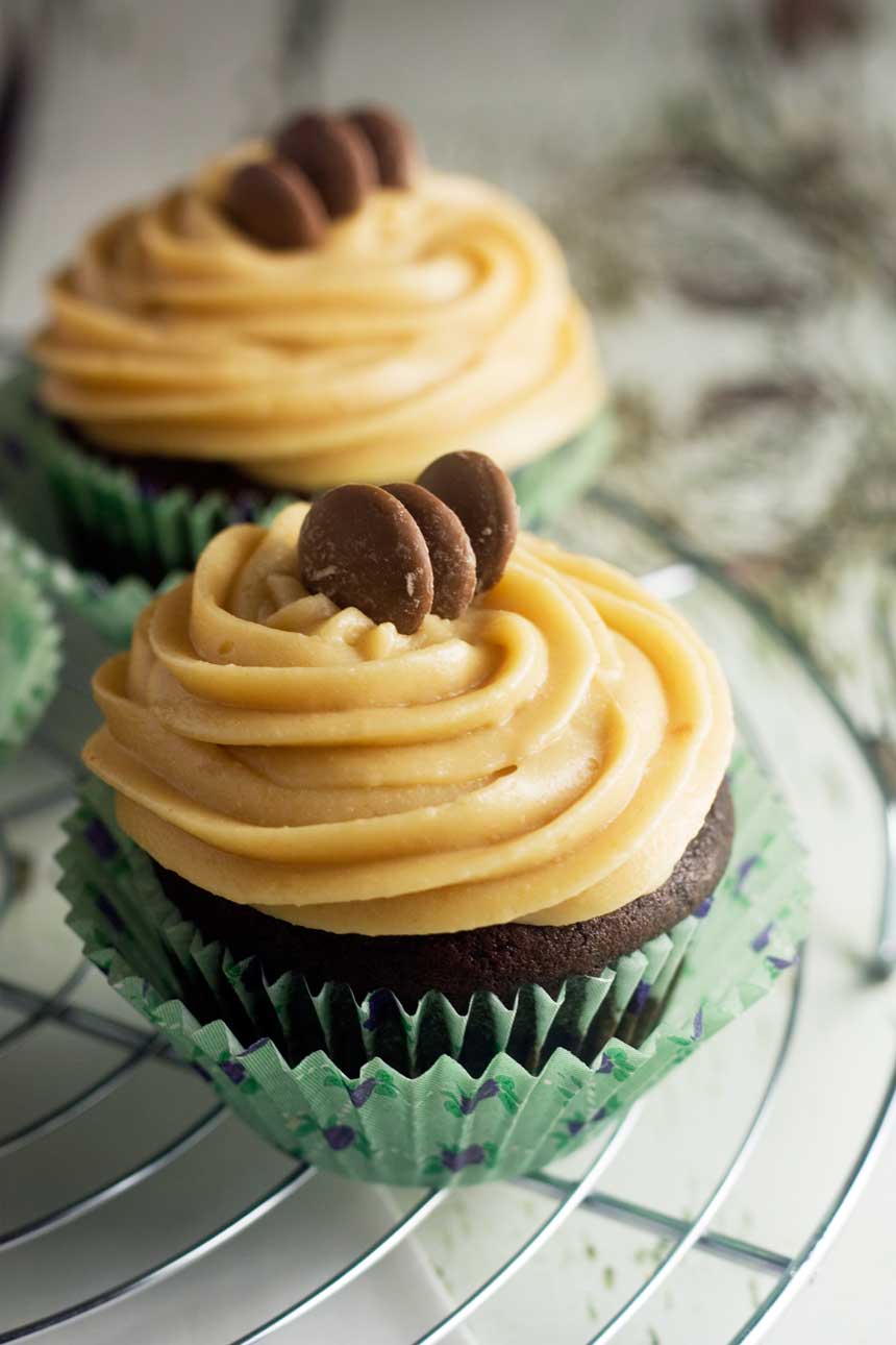 Chocolate stout cupcakes with peanut butter frosting