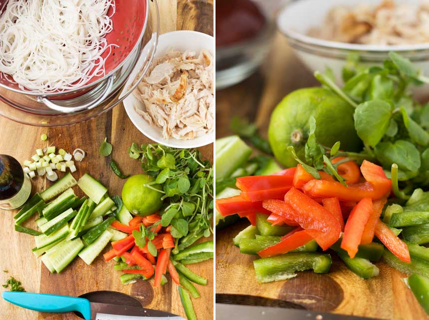 Ingredients for a quick hoi sin chicken noodle wrap.