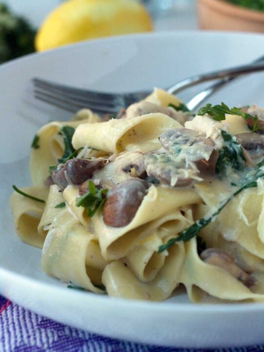 A closeup of a big white bowl of creamy chicken and mushroom pappardelle with a fork in the background.