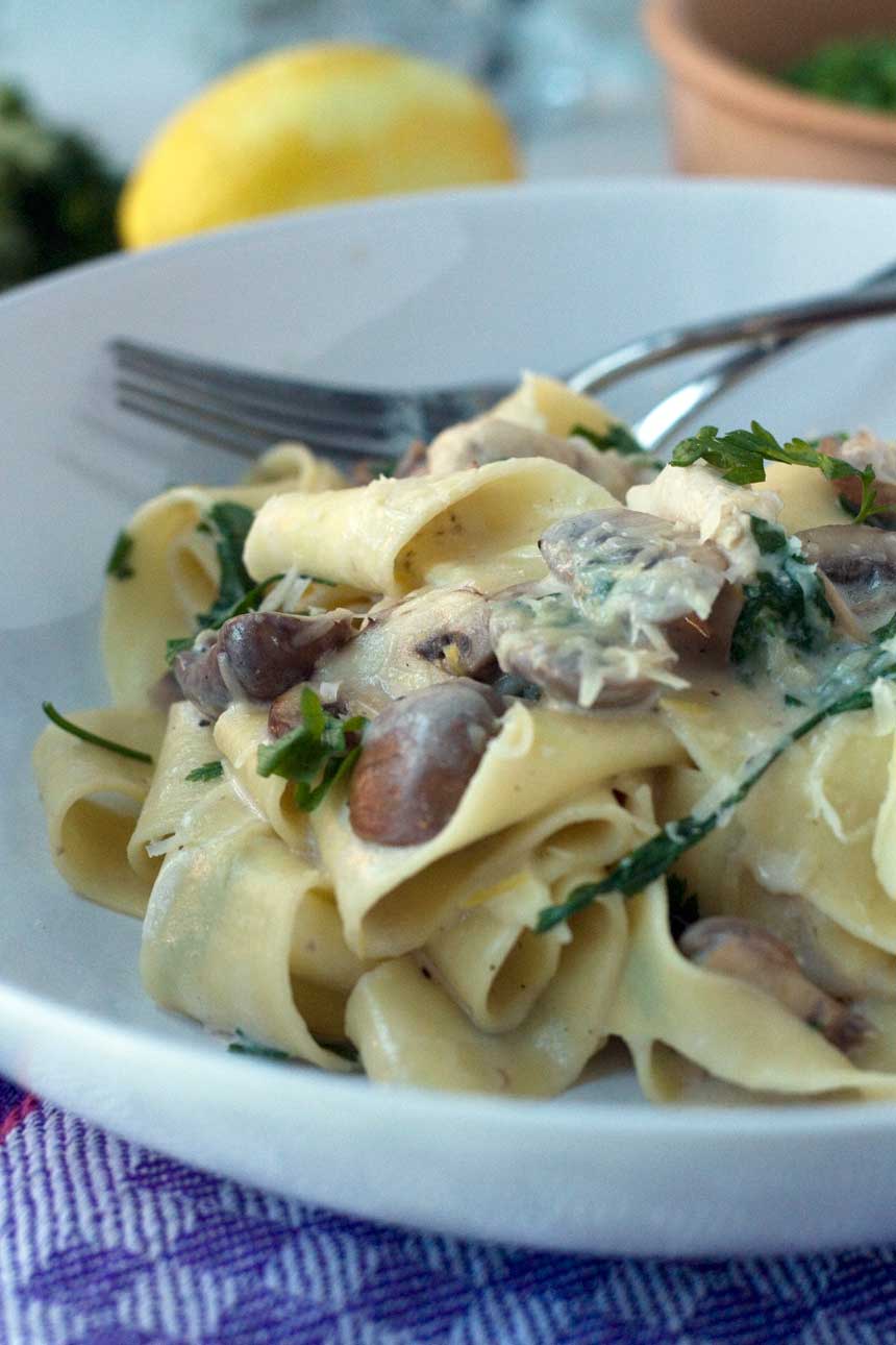 Creamy Chicken And Mushroom Pappardelle Scrummy Lane