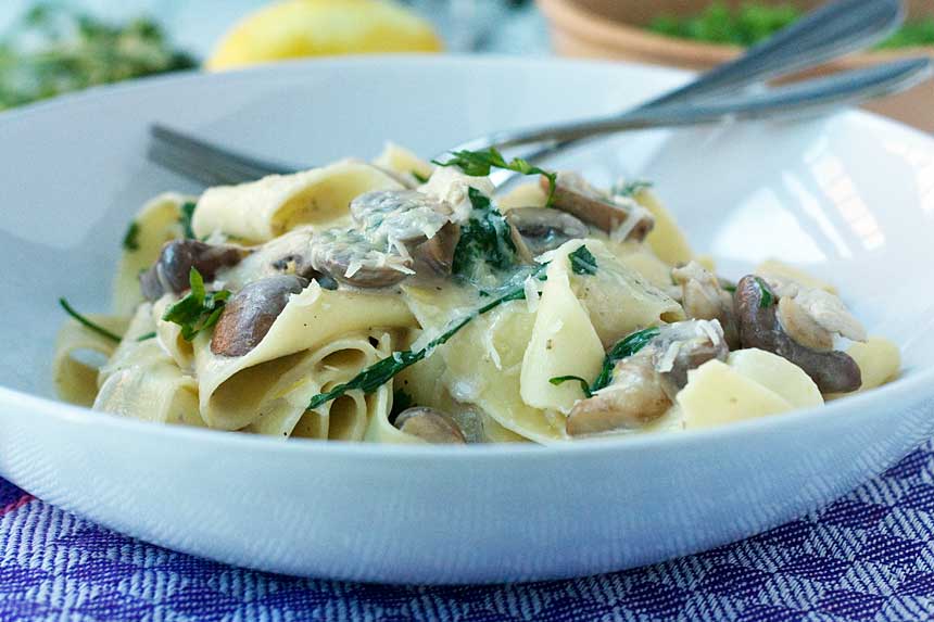 A closeup of a bowl of creamy chicken and mushroom pappardelle in a big white bowl with cutlery.