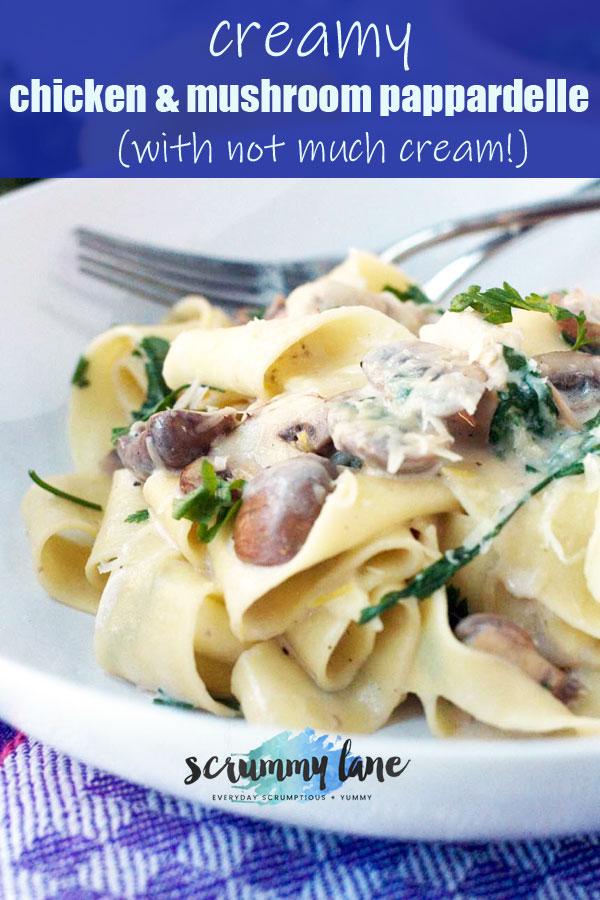 A bowl of creamy chicken and mushroom pappardelle