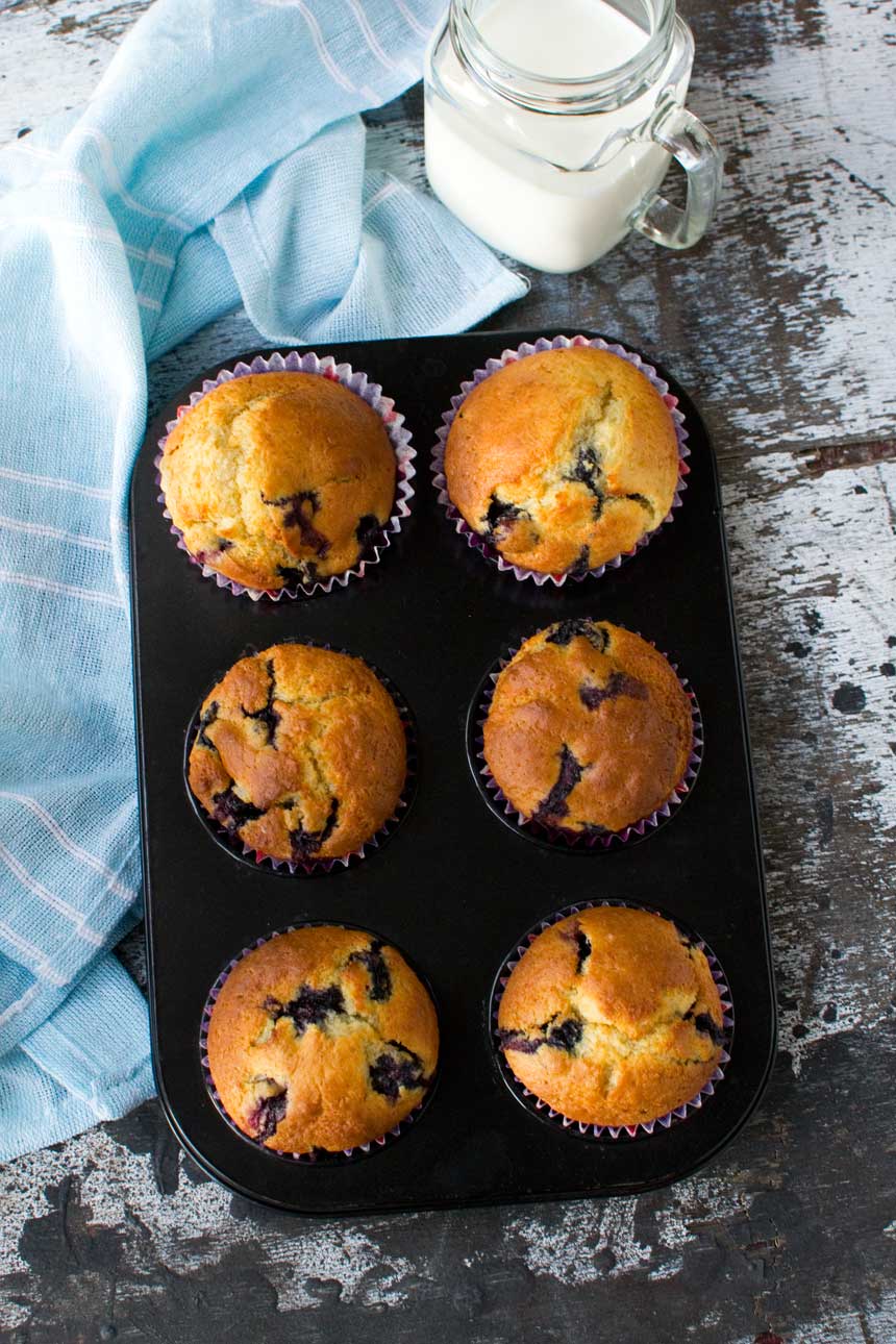 Just baked blueberry muffins from above on an old table with a light blue tea towel.