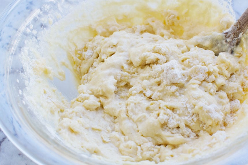 Blueberry yogurt cake batter in a bowl