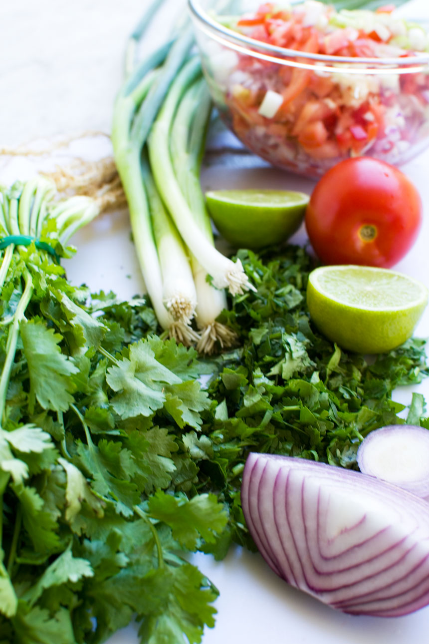 10 minute fresh tomato salsa - Scrummy Lane