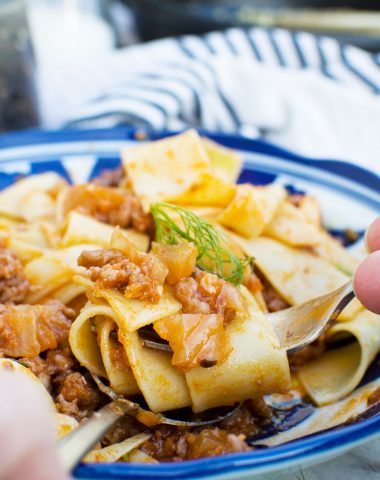 6-ingredient sausage ragu sauce with fennel (stove top and pressure cooker)