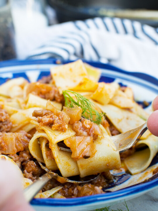 A closeup of 6-ingredient sausage ragu and pasta