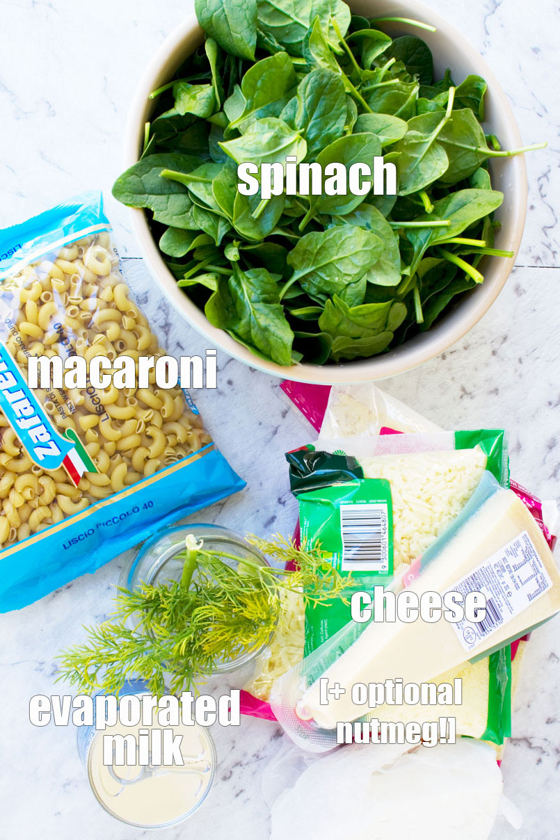 Ingredients for a Greek mac and cheese bake with an easy evaporated milk sauce