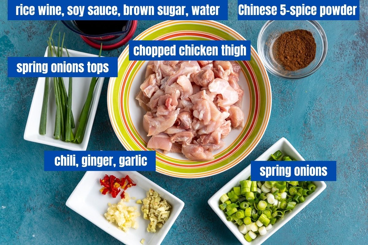 Picture from above of the ingredients needed to make Shanghai chicken: the sauce, chicken thigh, spring onions, Chinese 5-spice powder, chili, ginger, garlic