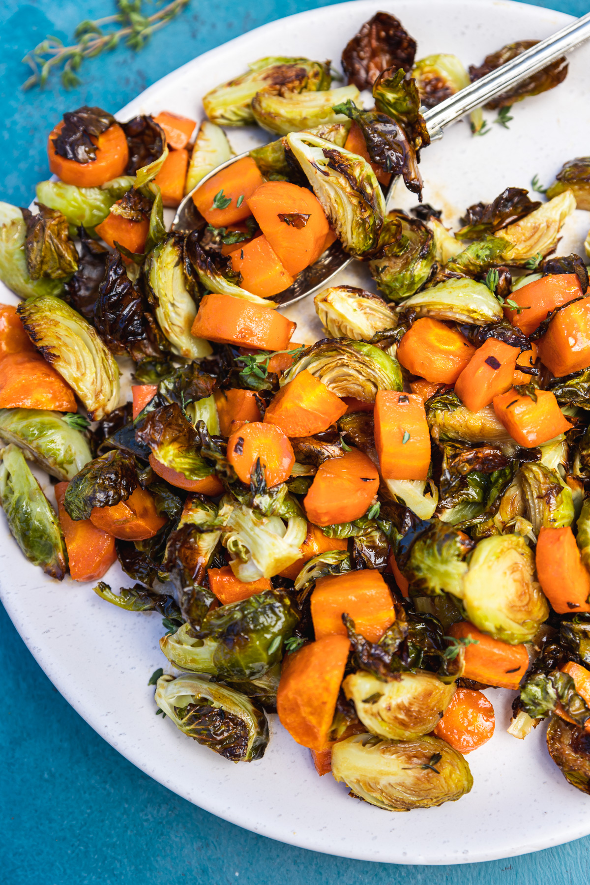 Closeup of roasted brussels sprouts and carrots on a white plate and blue background