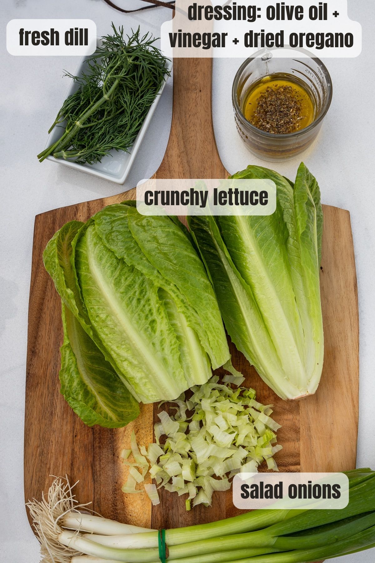 Overhead view of all the ingredients needed to make a Greek lettuce salad including shredded lettuce, fresh dill, salad onions, olive oil, vinegar and dried oregano.