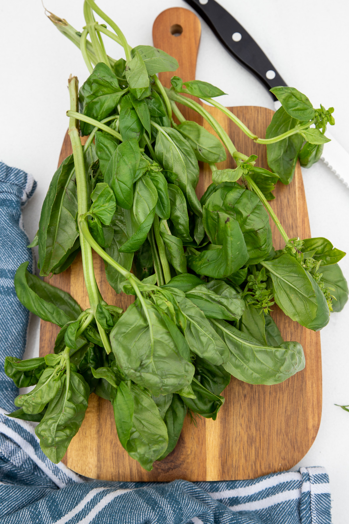 A bunch of fresh basil and a knife on a wooden board with a blue and white striped tea towel at the bottom.