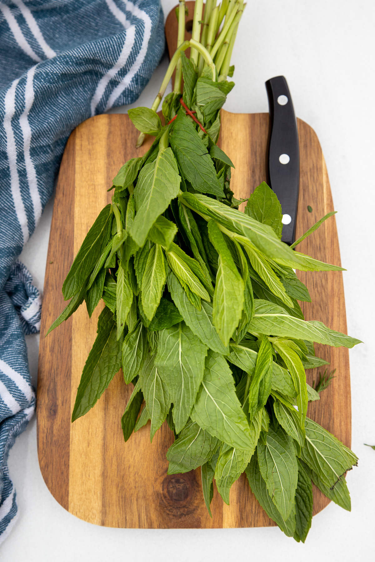 A bunch of fresh mint on a wooden chopping board on a white background with a blue and white striped tea towel to the left.