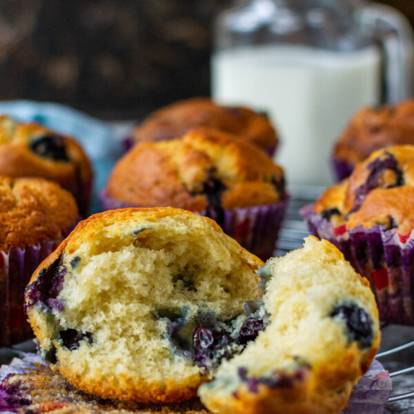 The inside of a fluffy Greek yogurt blueberry muffin on a paper liner and dark background with a light blue tea towel in front and more muffins and milk in the background.