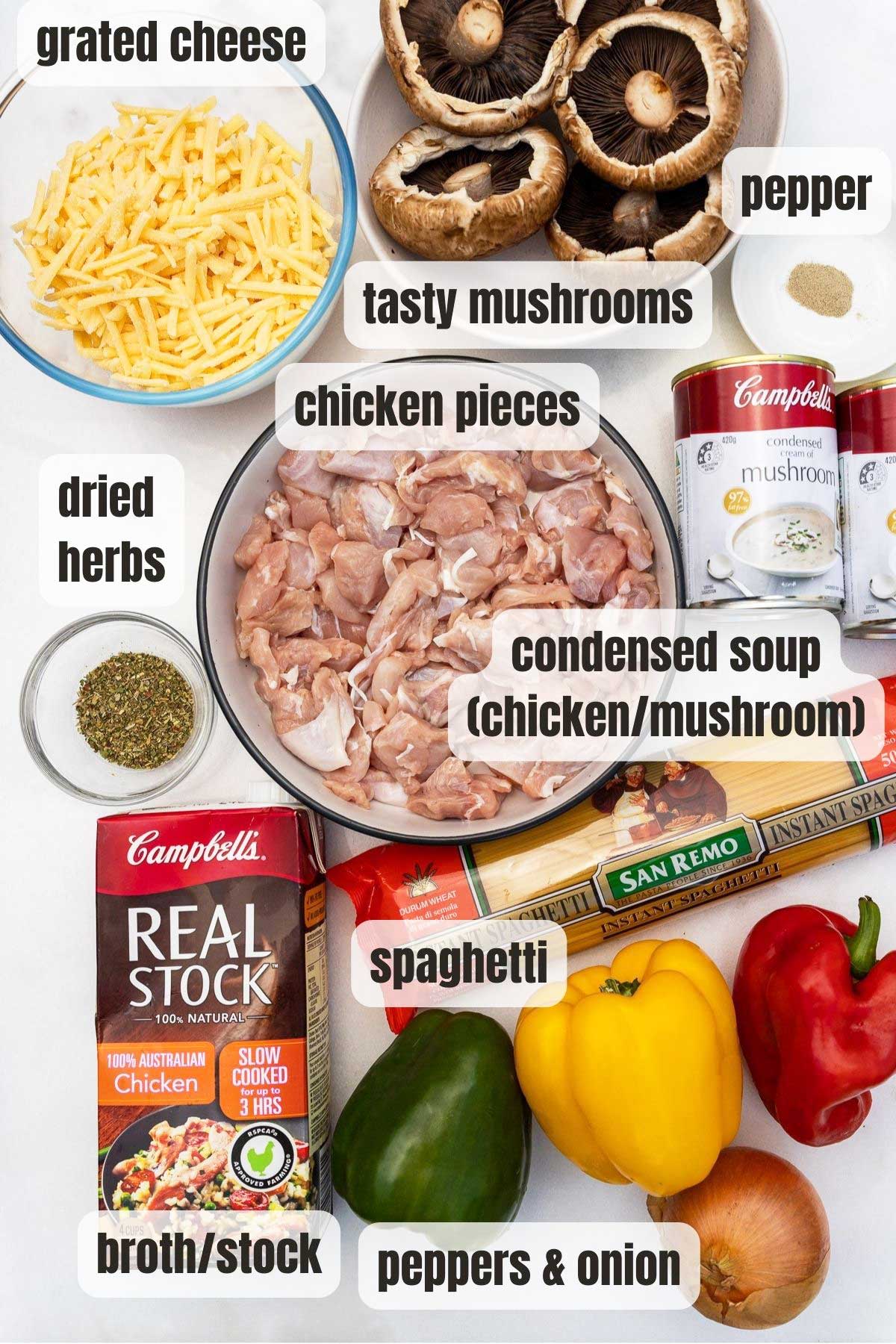 Overhead image of all the ingredients needed for baked chicken spaghetti including chicken broth, chicken pieces, multi-colored peppers and an onion, condensed soup, dried herbs, mushrooms, pepper and grated cheese.