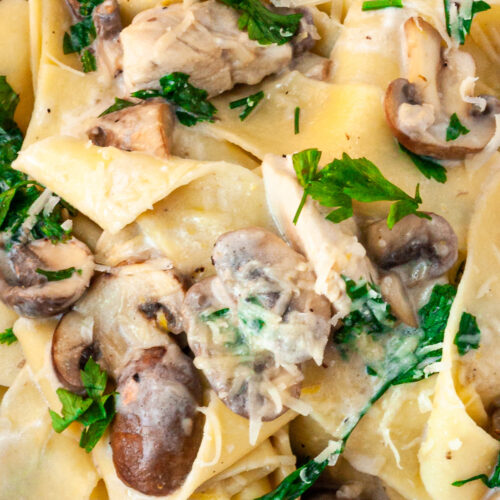 20-Minute Creamy Chicken And Mushroom Pasta (NOT much cream!) - Scrummy Lane