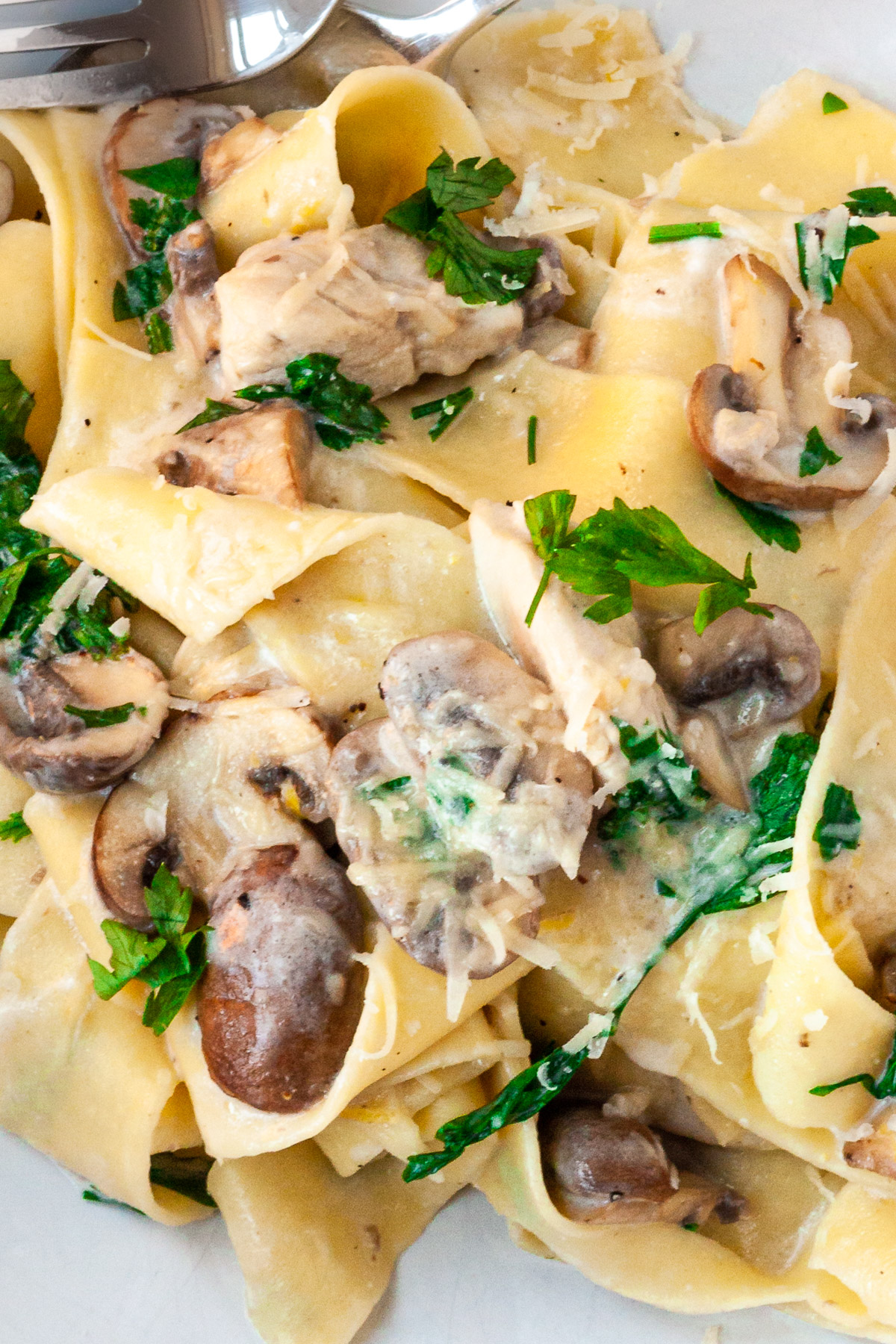 Closeup overhead image of a dish of creamy chicken and mushroom pasta with parsley and with the edge of a fork in the top left corner.
