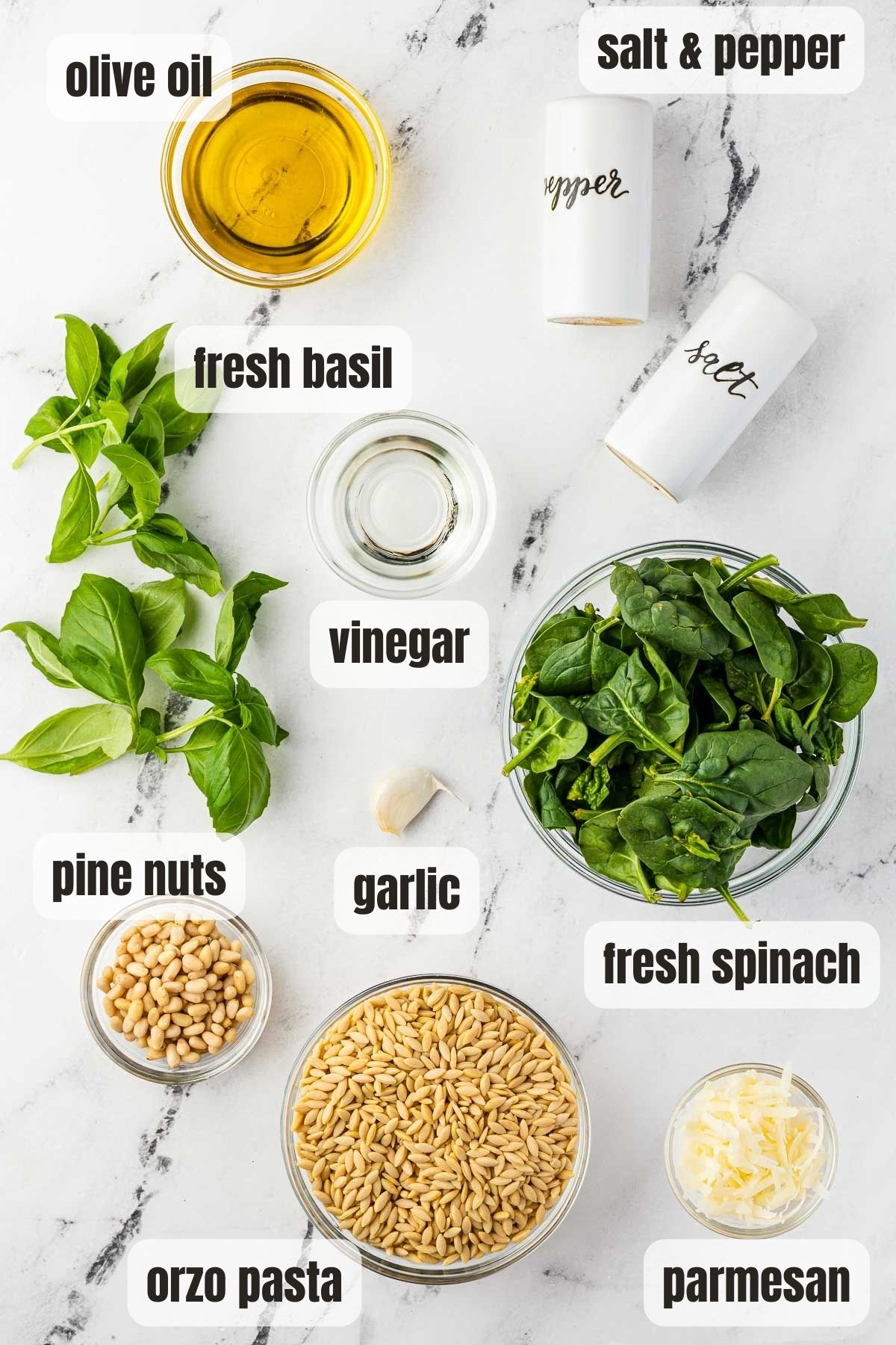 An overhead view of all the ingredients needed to make an orzo salad with pesto including orzo pasta, pine nuts, parmesan, fresh basil, salt and pepper, garlic, vinegar and olive oil, all on a marble background.