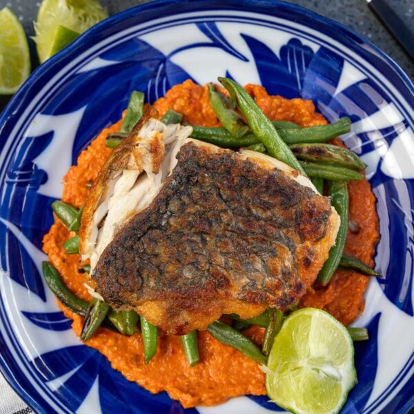 Closeup of a blue and white patterned dish with romesco sauce, green beans, white fish and lime in it, with a checked tea towel and more sauce in a dish at the top.