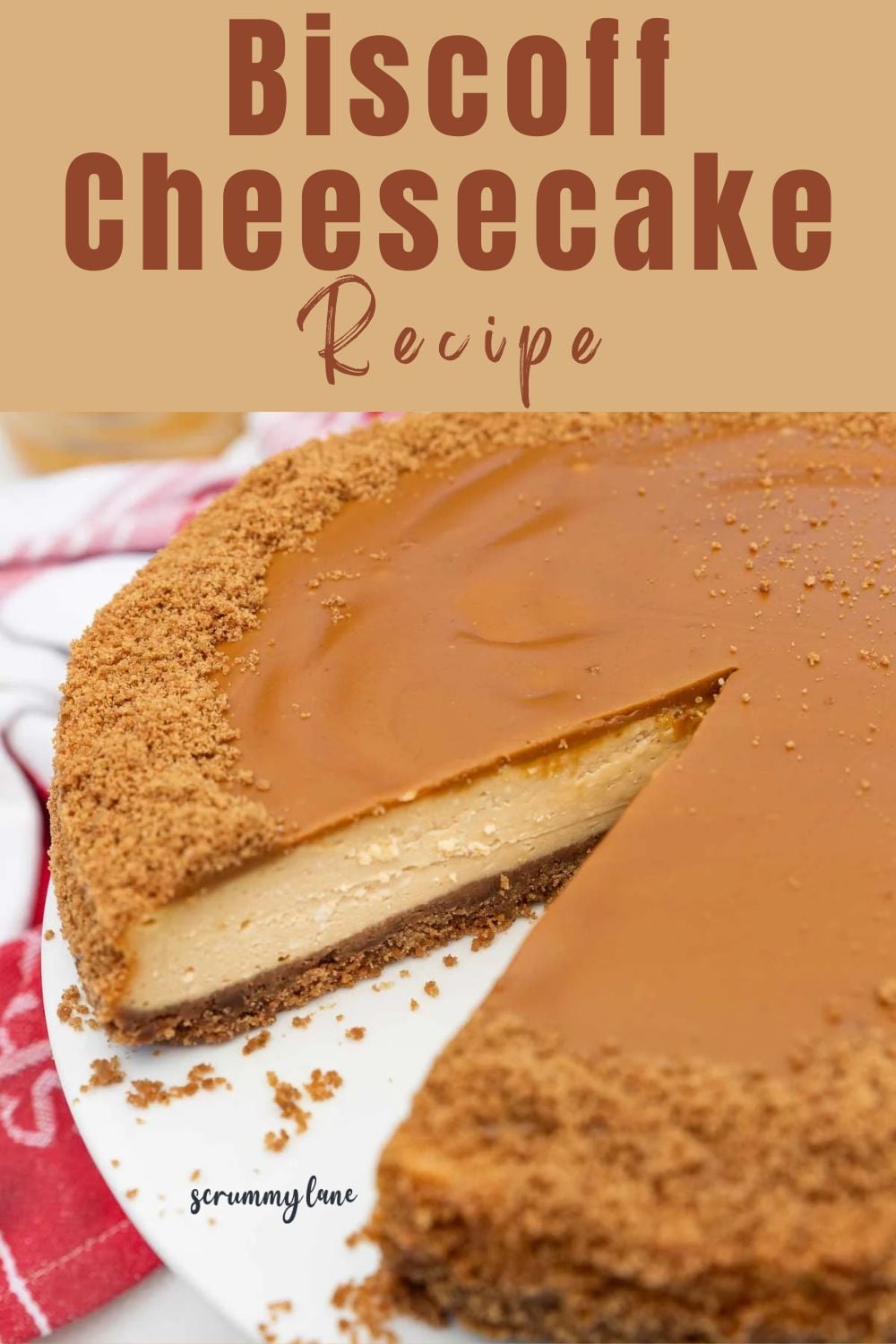 A pin for Pinterest showing a closeup of a biscoff cheesecake with a piece cut out, with a title on it.
